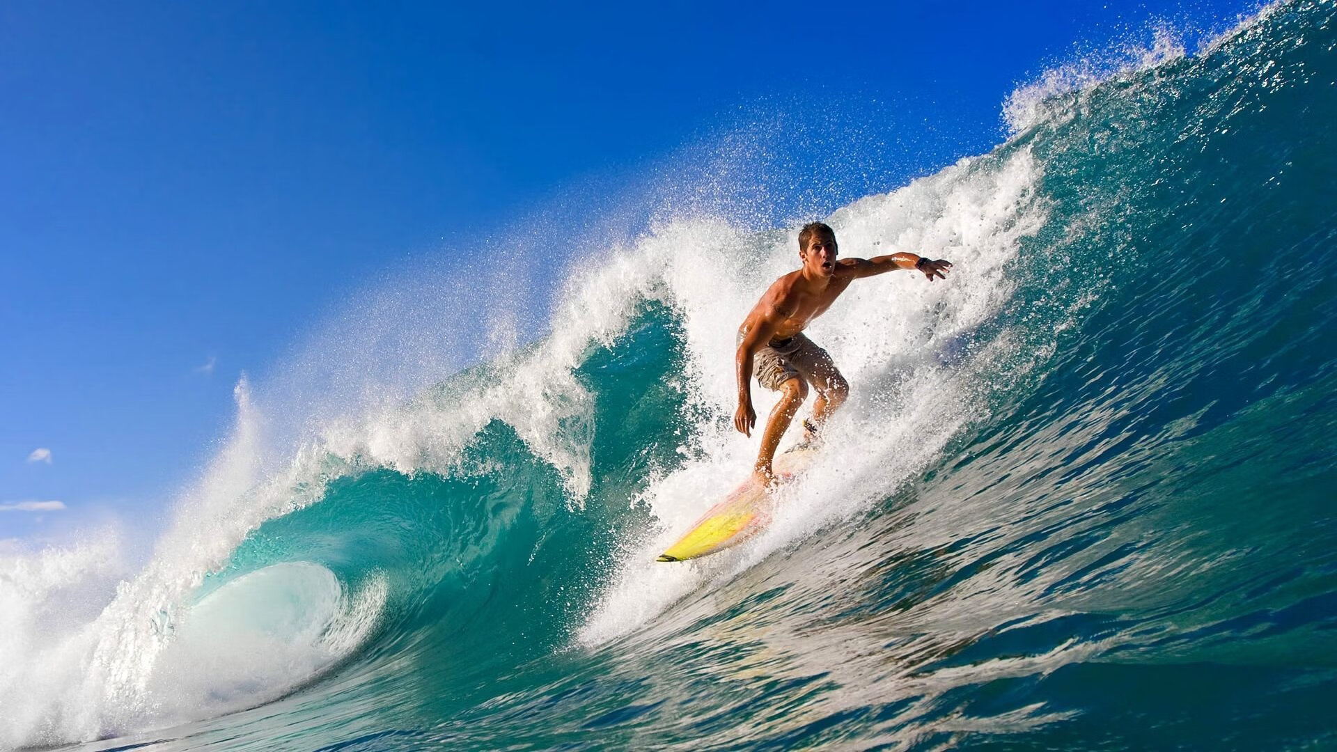 KAIYUN APP-中国体操新星首次亮相国际赛场表现不俗，中国体操运动员比赛视频2021