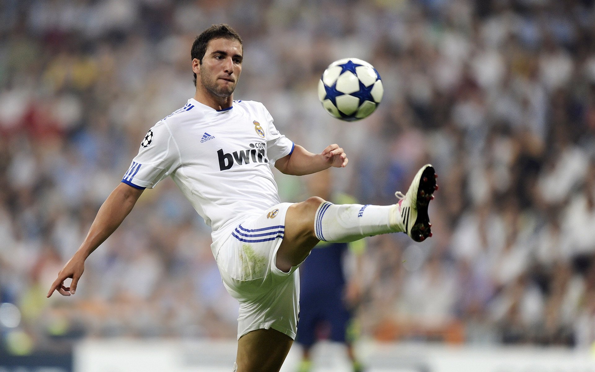 外教流失率高导致战略目标断裂